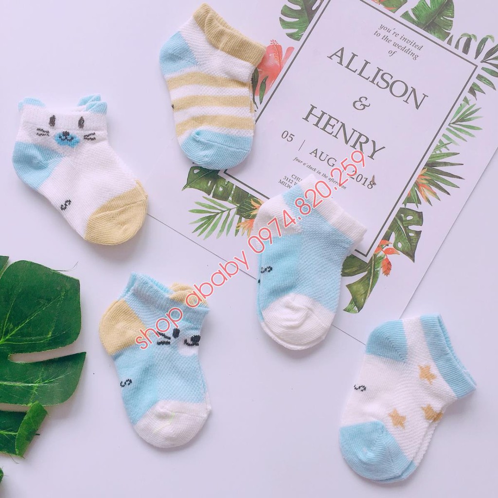 [Bán lẻ] 2 đôi tất lưới cổ ngắn kids sock cho bé trai bé gái từ 0-2.5 tuổi