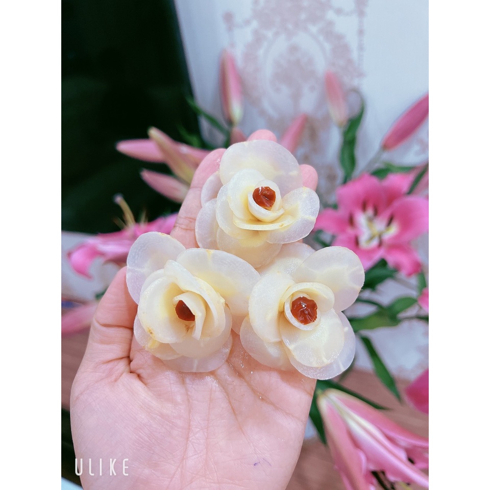 1 Hoa Điêu Khắc Sâm Hq bông 5 cánh | BigBuy360 - bigbuy360.vn