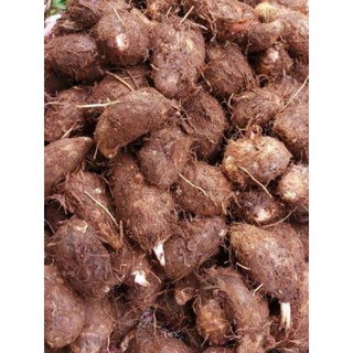 1kg khoai sọ