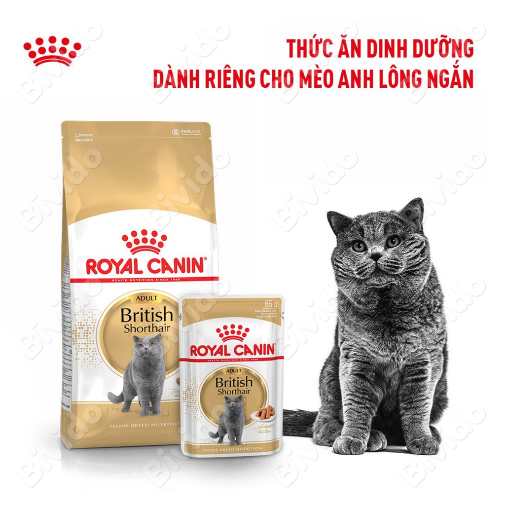 Thức ăn Royal Canin British Shorthair Adult mèo Anh lông ngắn túi 400g - Bivido