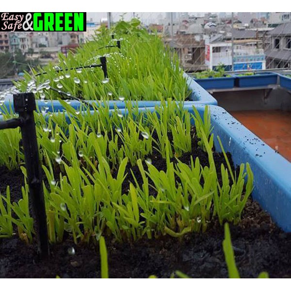 100 đầu tưới 8 tia có chân cắm cao 13cm