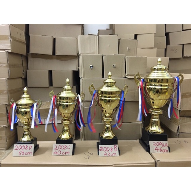 Cup bóng đá mã 2008