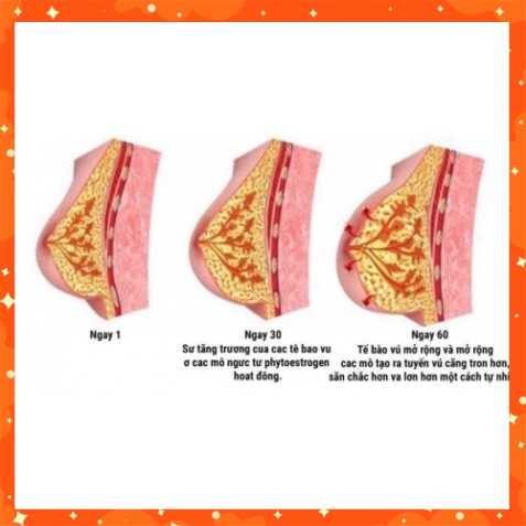 (giảm cân 247)  Kem nở ngực Upzise chuẩn Loại 1 | BigBuy360 - bigbuy360.vn