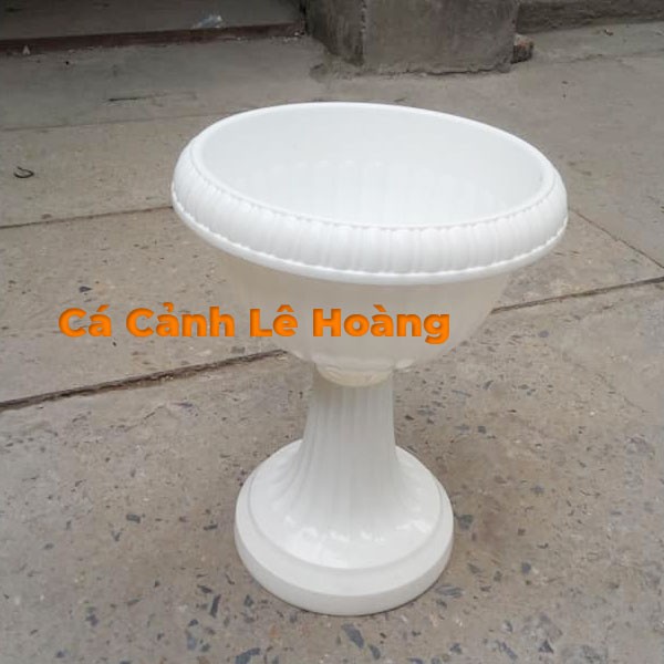 Chậu nhựa trồng cây dáng Ly - Chậu cao 38cm đường kính 28cm