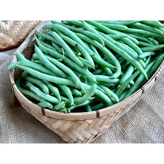 Hạt giống đậu cove