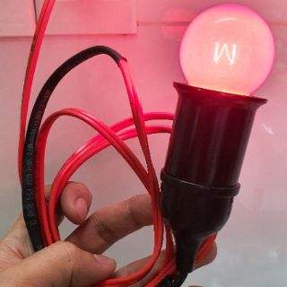 Đèn sưởi cho sóc con, vẹt con, gà con...