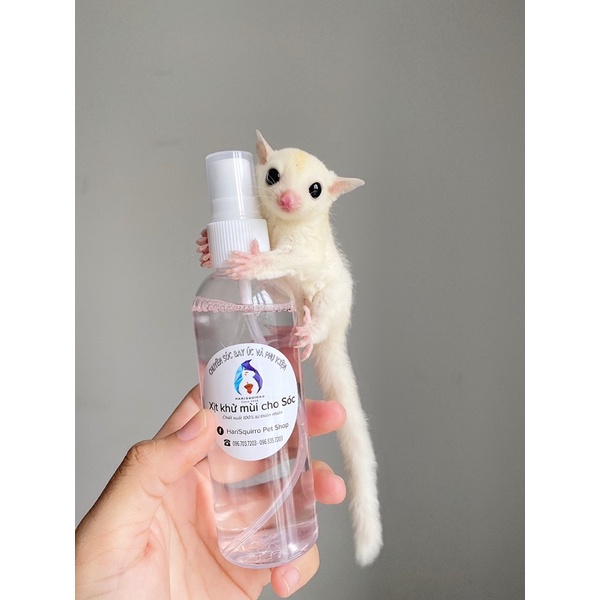 Xịt Diệt Khuẩn, Khử Mùi Cho Sóc Bông, Sóc Đất, Sóc Bay Úc,...