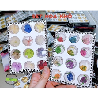 Hoa khô ẩn gel nail-trang trí nail