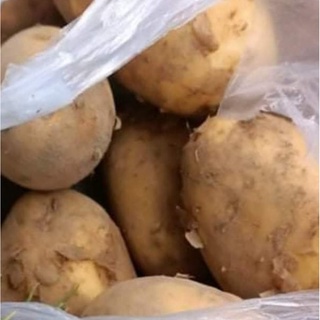 Giao HCM Hỏa tốc Nguyên liệu làm đồ ăn vặt Khoai Tây Ngon Đà Lạt 1kg -> 1.2kg