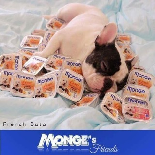 Pate Monge 🇮🇹💯% Made in Ý🇮🇹