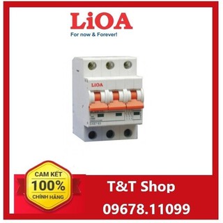 Cầu dao tự động (APTOMAT) loại 3 cực 50A~100A