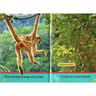 Bộ nhập National Geographic Kids Pre-reader(20q)