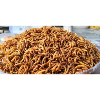 Sâu gạo sấy khô