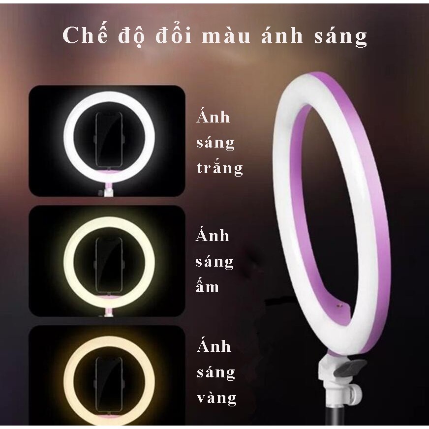 Bộ Đèn Led Livestream Size 26cm (Bao Gồm: Chân giá đỡ, Đèn, Kẹp Điện Thoại)
