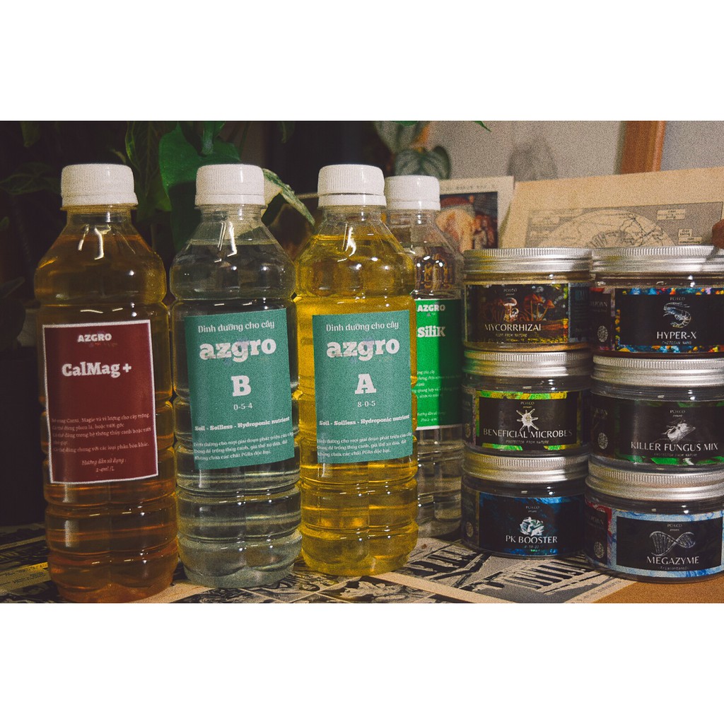Dinh dưỡng cho cà chua AZGRO
