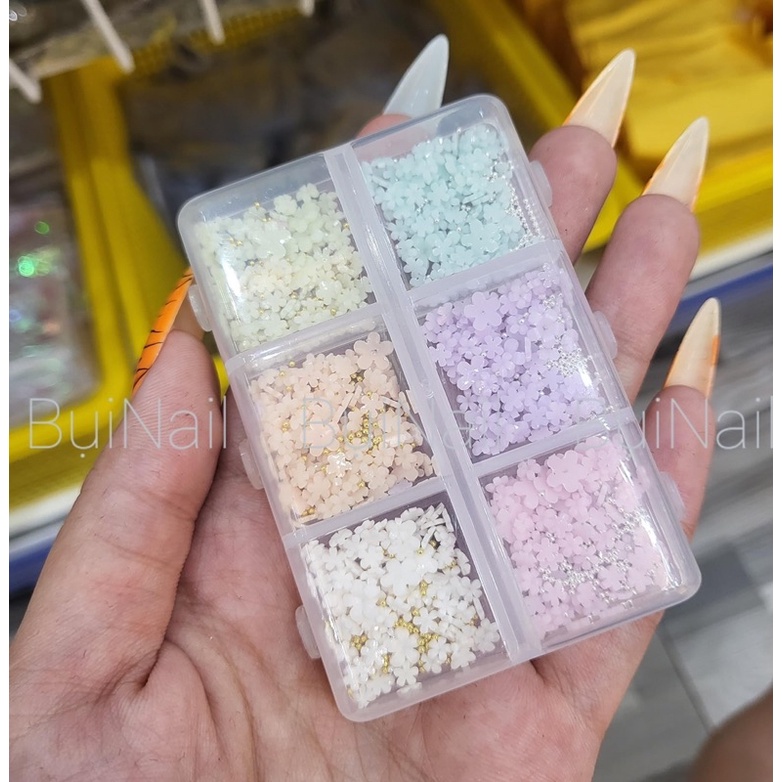 SET 6MÀU HOA NHÍ MIX BI