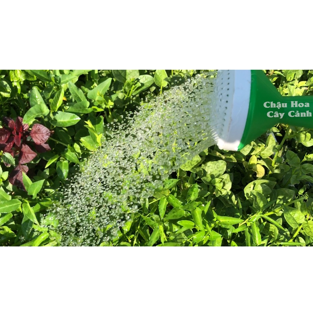 Bình ô doa tưới cây bằng nhựa dung tích 5L và 8L