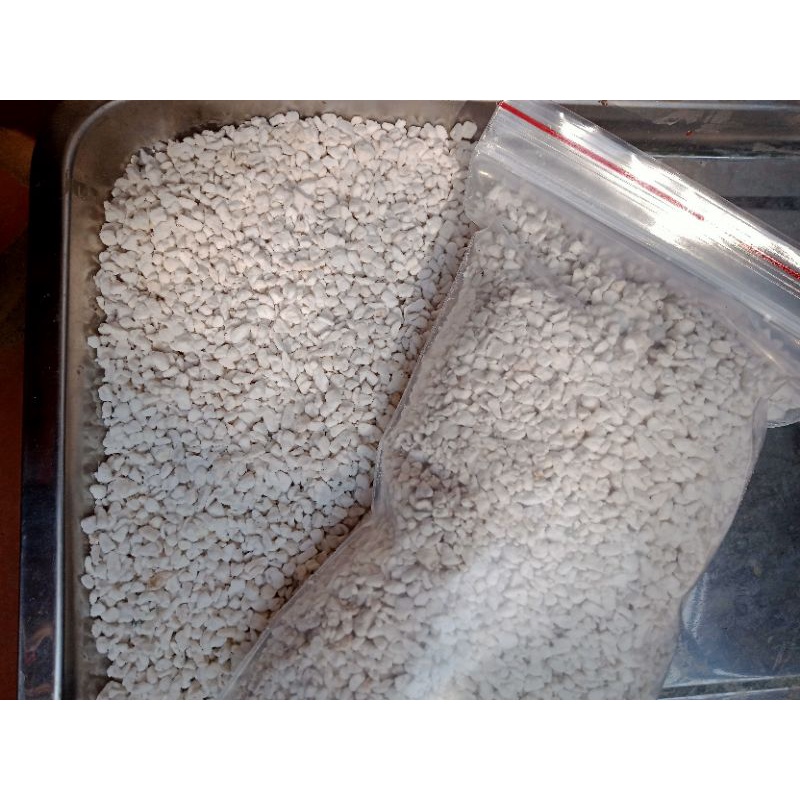 Đá trân châu Pelite trắng - NeyuhGarden