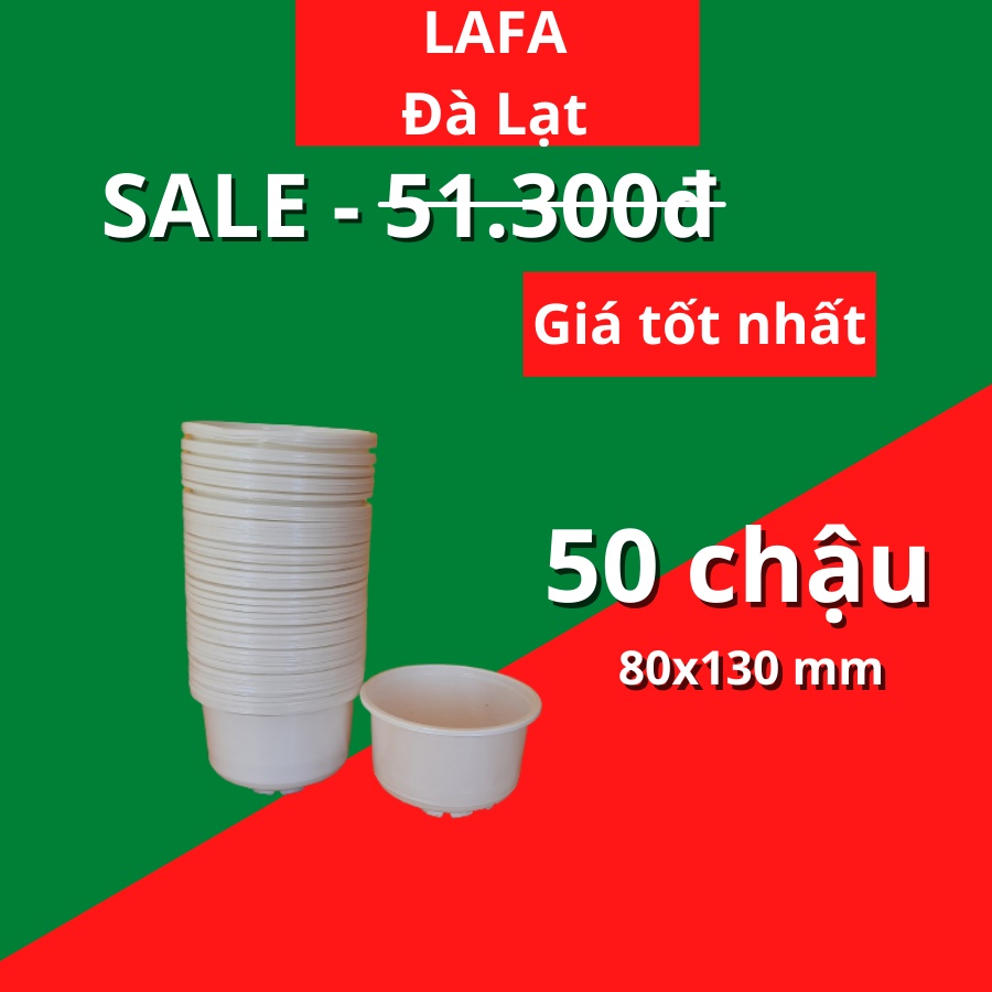 Combo 50 Chậu nhựa kích thước  chuyên trồng cây sen đá thành thấp LAFA chậu chuyên dùng ươm giống cây trồng