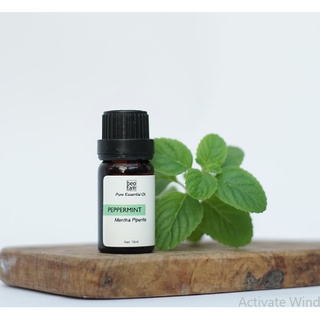 Tinh dầu (Bèo Tấm) - 10ml