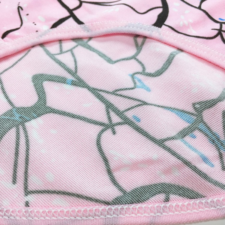 FREESHIP KÈM QUÀ TẶNG Combo 5 Quần lót cotton mịn kháng khuẩn sợi tre bigsize size lớnnhiều màu và họa tiết