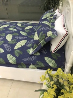Set ga gối cotton