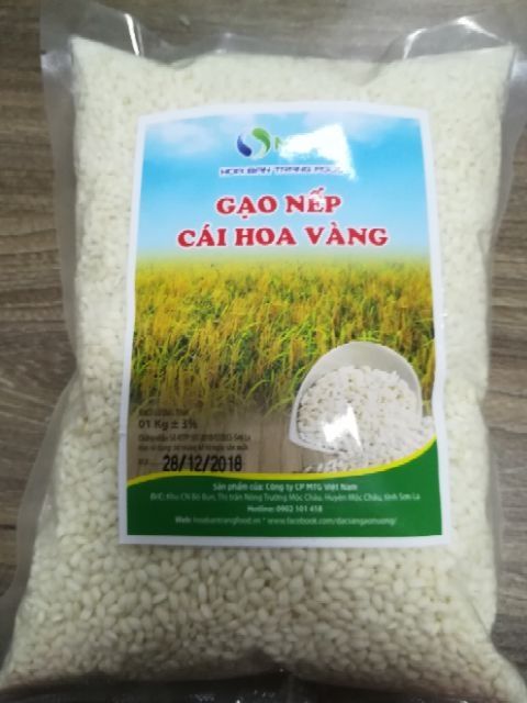 Gạo nếp cái hoa vàng