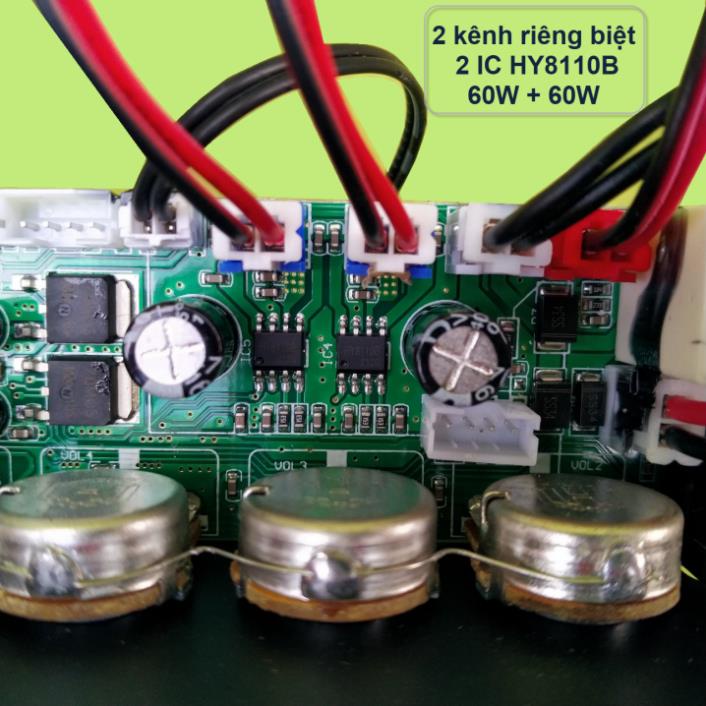 Mạch loa kéo Livestream 2 kênh riêng biệt 2 IC HY8110B 60W + 60W DSP lập trình chống hú có nguồn xung 220V