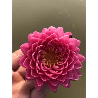 súng Malikan hoa súng cánh kép.