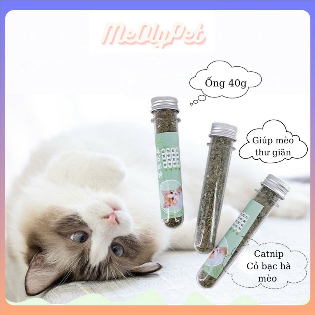 Bạc hà mèo Catnip cho mèo ống 40g