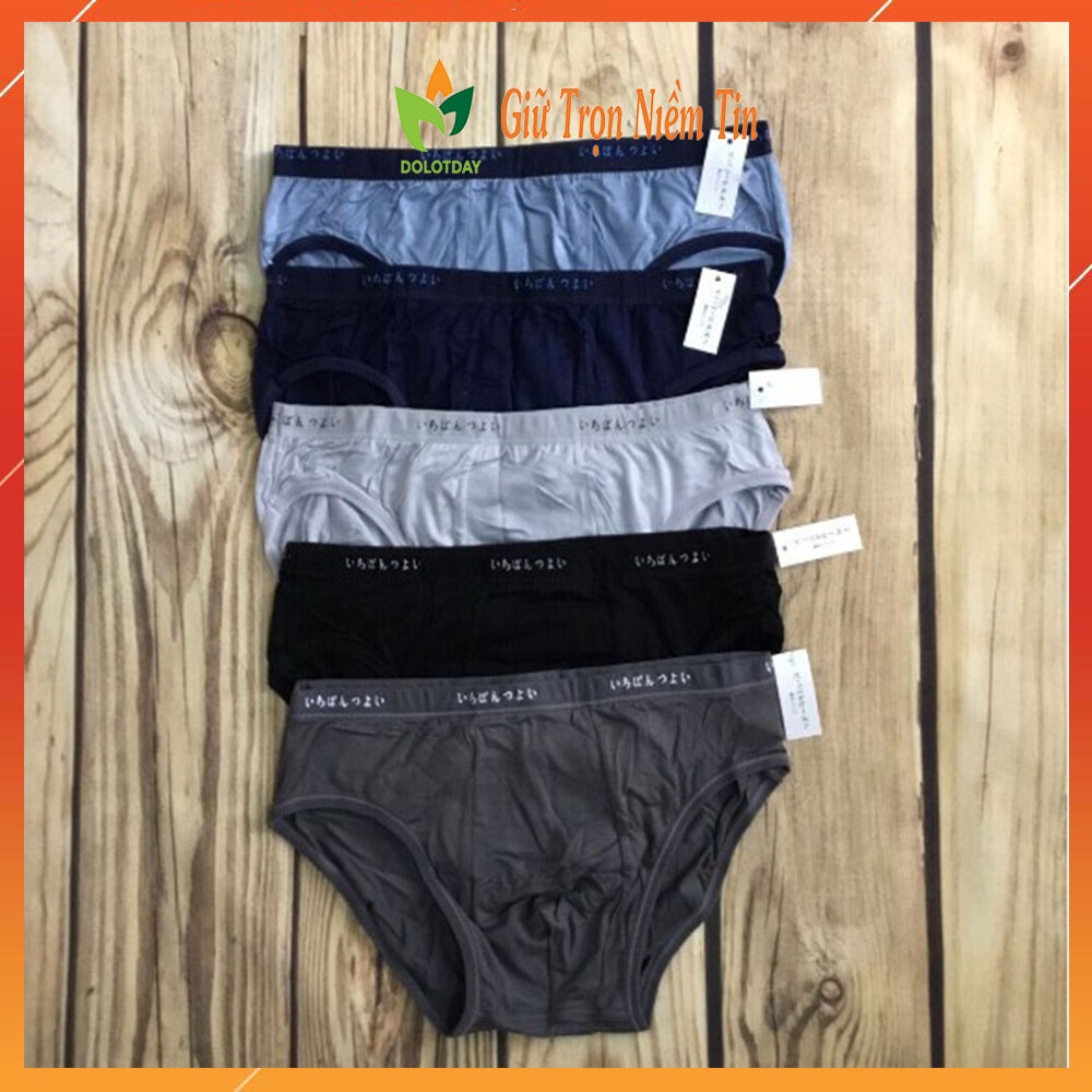 TÚI 2 Quần lót nam , quần sịp tam giác cao cấp chất Cotton kháng khuẩn co giãn 4 chiều LOTNAM02