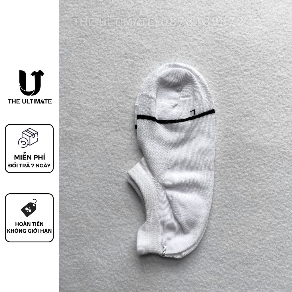 Tất cotton nữ Hàn Quốc 3 màu mềm mịn đàn hồi co giãn thoải mái êm chân The Ultimate