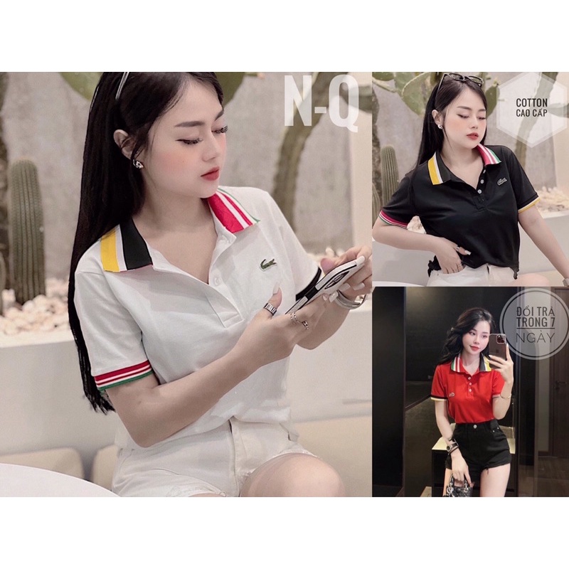Áo polo nữ, Áo thun polo nữ cổ dệt cao cấp, chất cotton tàu 100% giãn 4 chiều, thấm hút mồ hôi, hình thêu nổi.