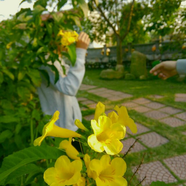 nguyen_thi_thu_nga