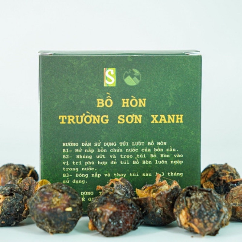 Bồ hòn Trường Sơn Xanh