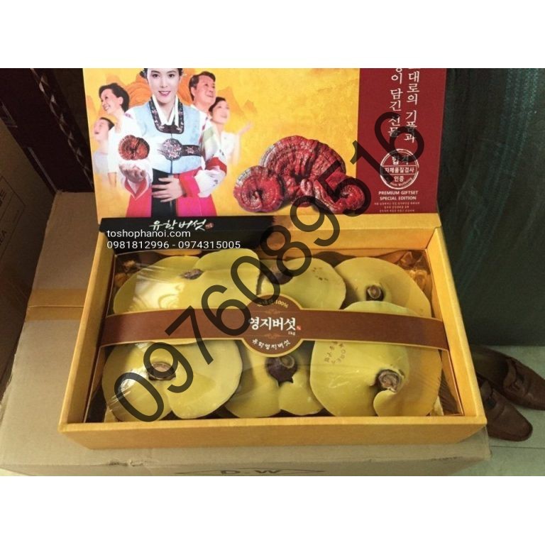 [DATE MỚI] Nấm Linh Chi Trắng Hàn Quốc Hộp Giấy UHak