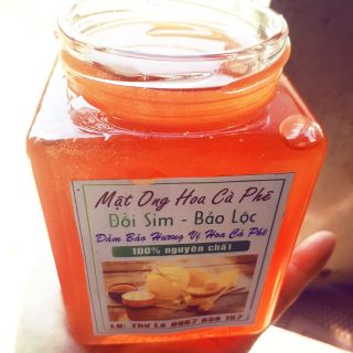 1Lit =1kg3 Mật ong hoa cà phê Đồi Sim - Bảo Lộc nguyên chất