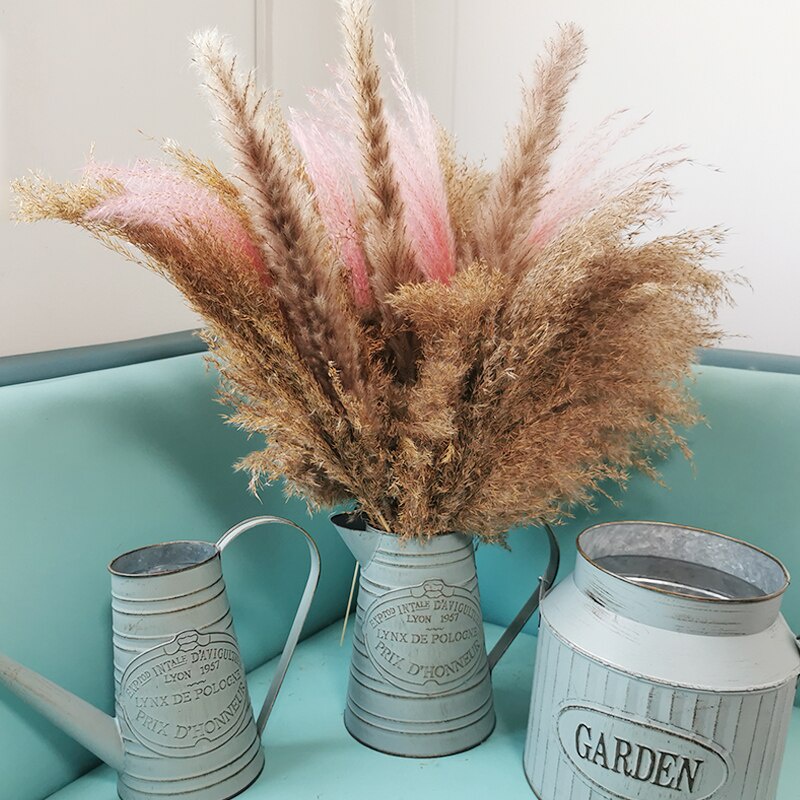 Bình tưới cây bằng kim loại mạ kẽm trang trí nhà cửa