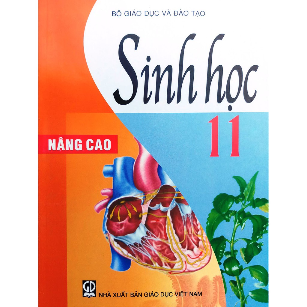 Sách giáo khoa - Sinh học 11 - Nâng cao