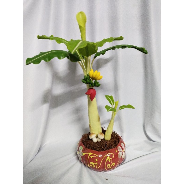Chậu chuối đất sét cao 40cm