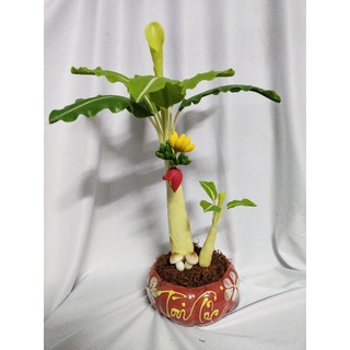 Chậu chuối đất sét cao 40cm