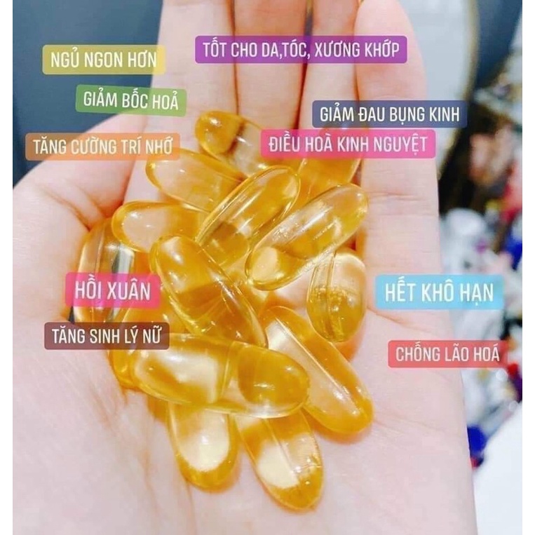 Viên Uống Tinh Dầu Hoa Anh Thảo Hàn Quốc Cân Bằng Nội Tiết Tố Nữ 300 Viên - Evening Primrose Oil