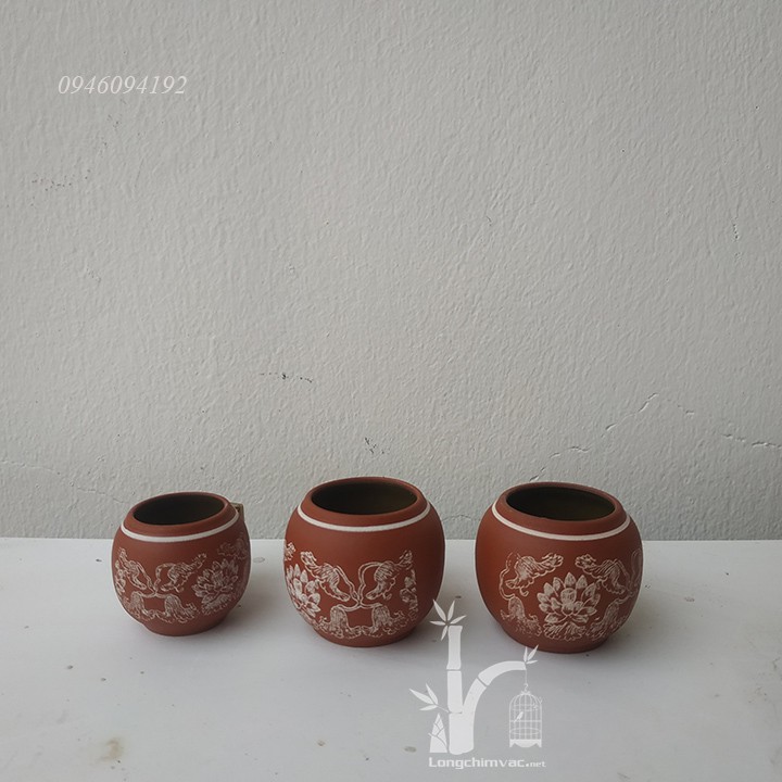 Cóng Chim Cảnh Cho Lồng Chào Mào