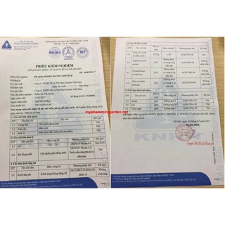 Son kem siêu lì 