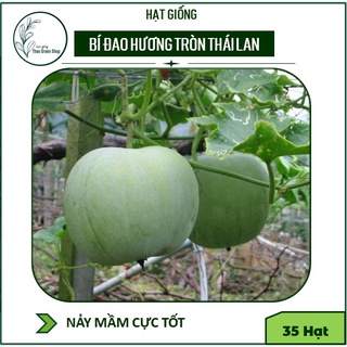 BÍ ĐAO HƯƠNG TRÒN THÁI LAN - 35 HẠT