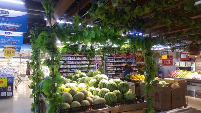 Dây leo lá nho xịn  bó 5 dây dài 2m7-Lá giả