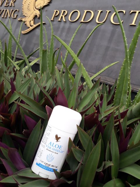 Sáp khử mùi lô hội_mỹ | BigBuy360 - bigbuy360.vn