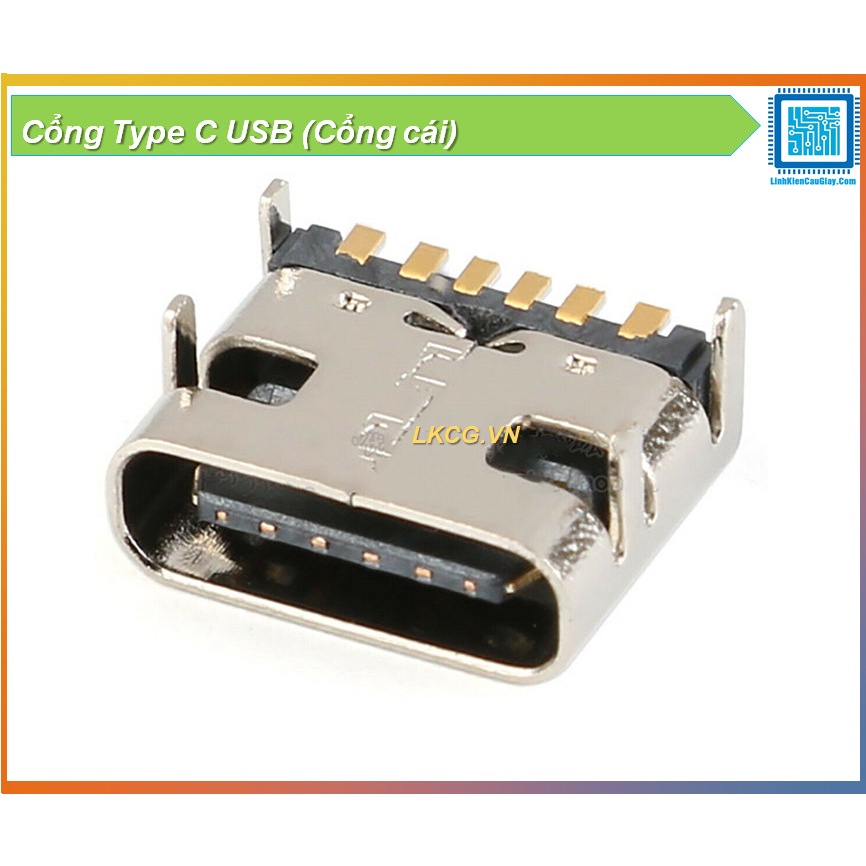 Cổng Type C USB (Cổng cái)