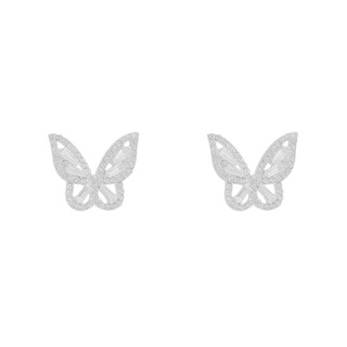 Bông tai bướm lấp lánh 🦋 (chuôi bạc s925)