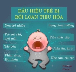 men sống bạch mai